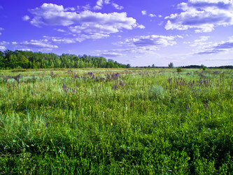 Similar image 1021657