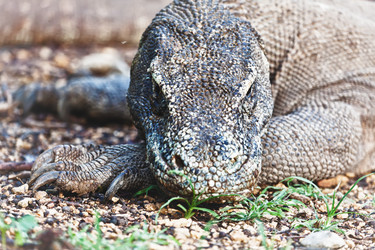 Similar image 1021660