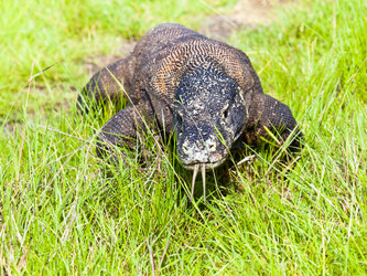 Similar image 1021665