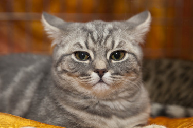 Similar image 1021687