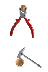 Similar image 1021708