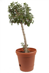 Similar image 1021824