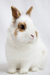 Similar image 1021864