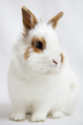 Similar image 1021865