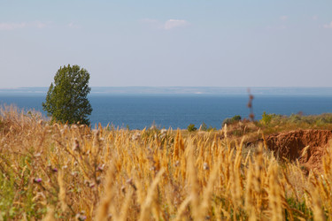 Similar image 1021909