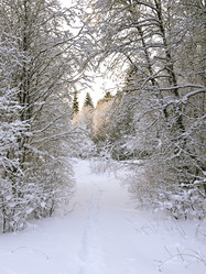 Similar image 1021958