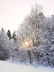 Similar image 1021959