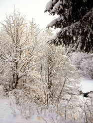 Similar image 1021960