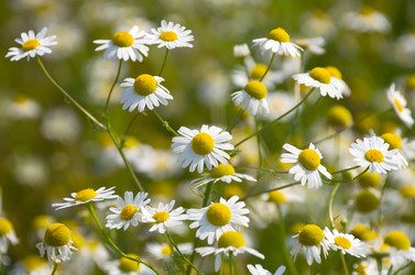 Similar image 1022047