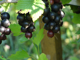 Similar image 1022057