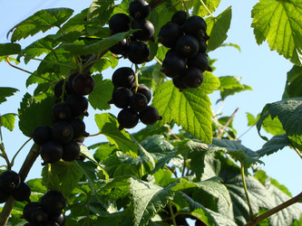 Similar image 1022059