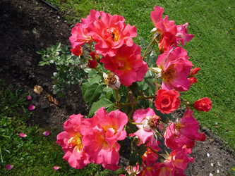 Similar image 1022165