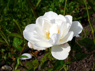 Similar image 1022167