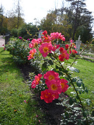 Similar image 1022168