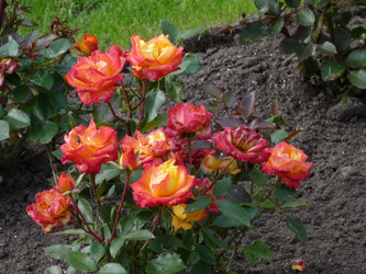 Similar image 1022171