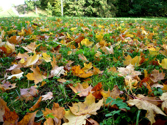 Similar image 1022181