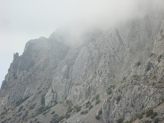 Similar image 1022213