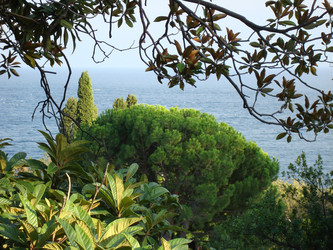 Similar image 1022221