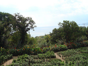 Similar image 1022224