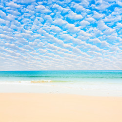 Similar image 1022238