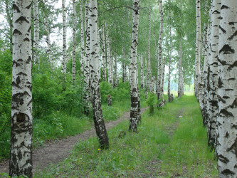 Similar image 1022257