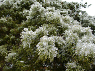 Similar image 1022259