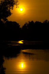 Similar image 1022336