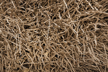 Similar image 1022340