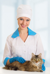 Similar image 1022351