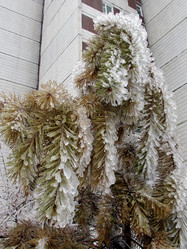 Similar image 1022382