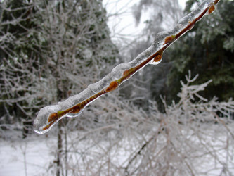 Similar image 1022401