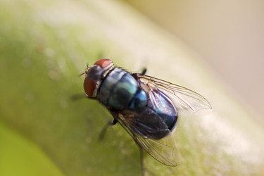 Similar image 1022414