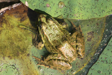 Similar image 1022420