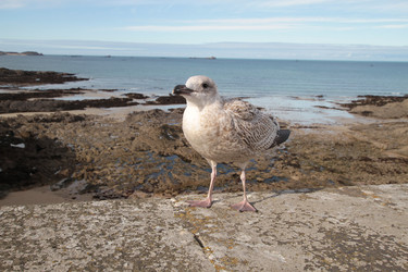 Similar image 1022425