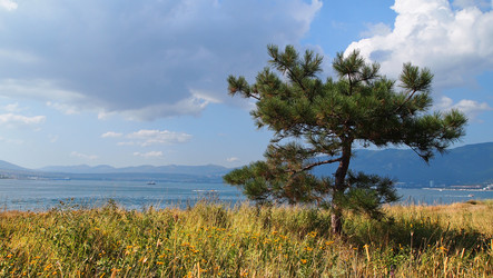 Similar image 1022426