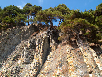 Similar image 1022433