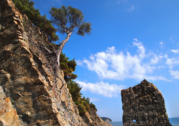 Similar image 1022436