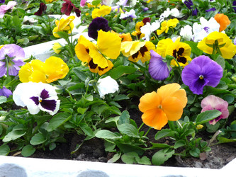 Similar image 1022439