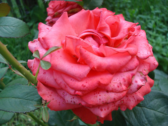 Similar image 1022446