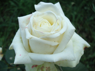 Similar image 1022511