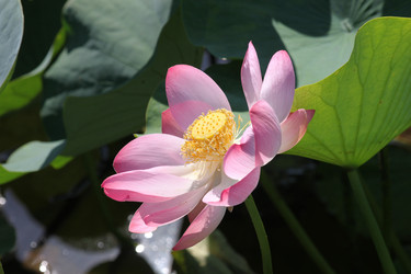 Similar image 1022518