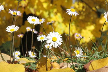 Similar image 1022528