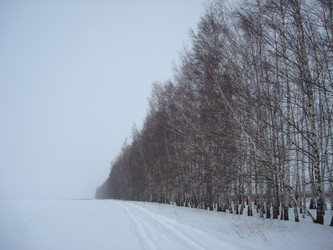 Similar image 1022542