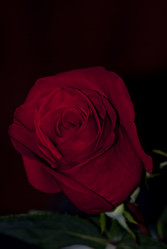 Similar image 1022594