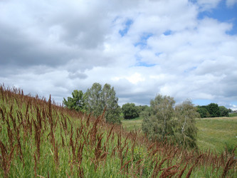 Similar image 1022601