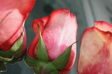 Similar image 1022603