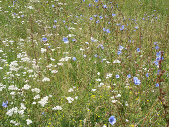 Similar image 1022608