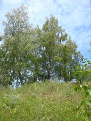 Similar image 1022614