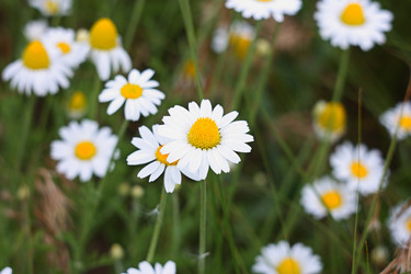 Similar image 1022623