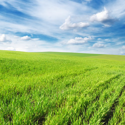 Similar image 1022629